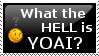 what the hell is yaoi?